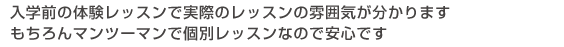 入学前の体験レッスンで実際のレッスンの雰囲気が分かります。もちろんマンツーマンで個別レッスンなので安心です。